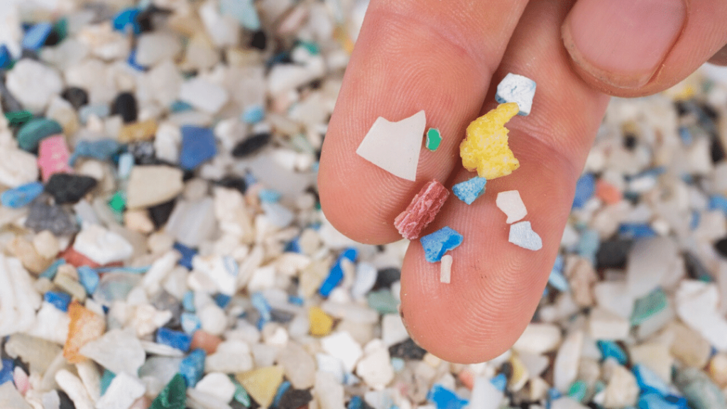 Sustainable fashion wardrobe